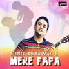 About Mere Papa Song