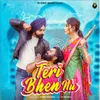 About Teri Bhen Nu Song