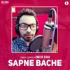 About Sapne Bache Song