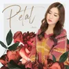 Gia Vo Noi Yeu Em Di Petal Vietnamese Version