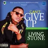 About Can'T Give Up Song