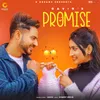 About Promise Song