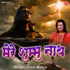 About Mere Shambhu Nath Song