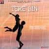 About Tere Bin Song