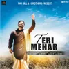 About Teri Mehar Song