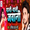 About Pani Pani Jawani Song