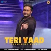 About Teri Yaad Song