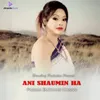 About Ani Shaumin Song
