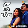 About My Love Is Gone Song