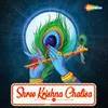 About Shree Krishna Chalisa Song