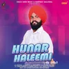 About Hunar Haleemi Song