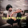 About Yaar Purane Song