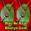 About Hali Se Aaja Bhaiya Gaw Song