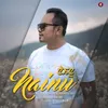 About Nainu Song