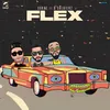 About Flex Song