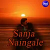 About Sanja Naingale Song