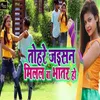 About Tohare Niyan Milal Ba Bhatar Ho Song