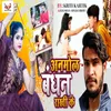 About Anmol Bandhan Rakhi Ke Song