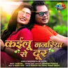 About Kailu Nazaraiya Se Door Song