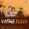 About Vintage Fusion Song