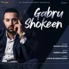 About Gabru Shokeen Song