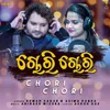 About Chori Chori Song