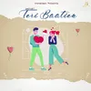 About Teri Baatein Song