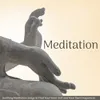 Starlight PurityZen Meditation