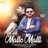 About Mallo Malli Song