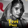 About Teri Pagg Song