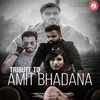 About Tribute To Amit Bhadana Song