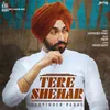 About Tere Shehar Song