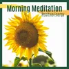 About Transcendental Meditation Song