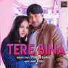 About Tere Bina Song