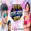 About Pura Dj Wala Bhatar Hawsan Song