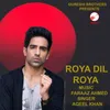 About Roya Dil Roya Song