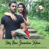 About Ishq Bin Jannatein Kahan Song