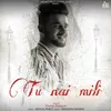 About Tu Nai Mili Song