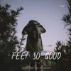 About Feel So Good Song