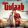 About Gulaab Song