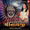 About Mara Ghat Ma Birajta Shreenathji Song