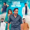 About Leelo Lage Pyari Song