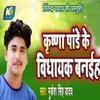 About Krishna Pandey Ke Vidhayak Baniha Song