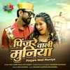 About Pinjare Wali Muniya Song