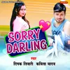 About Sorry Darling Song