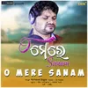 About O Mere Sanam Song