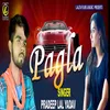 About Pagla Song