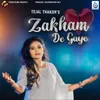 About Zakham De Gaye Song