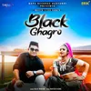 About Black Ghagro Song