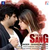 About Tere Sang Song